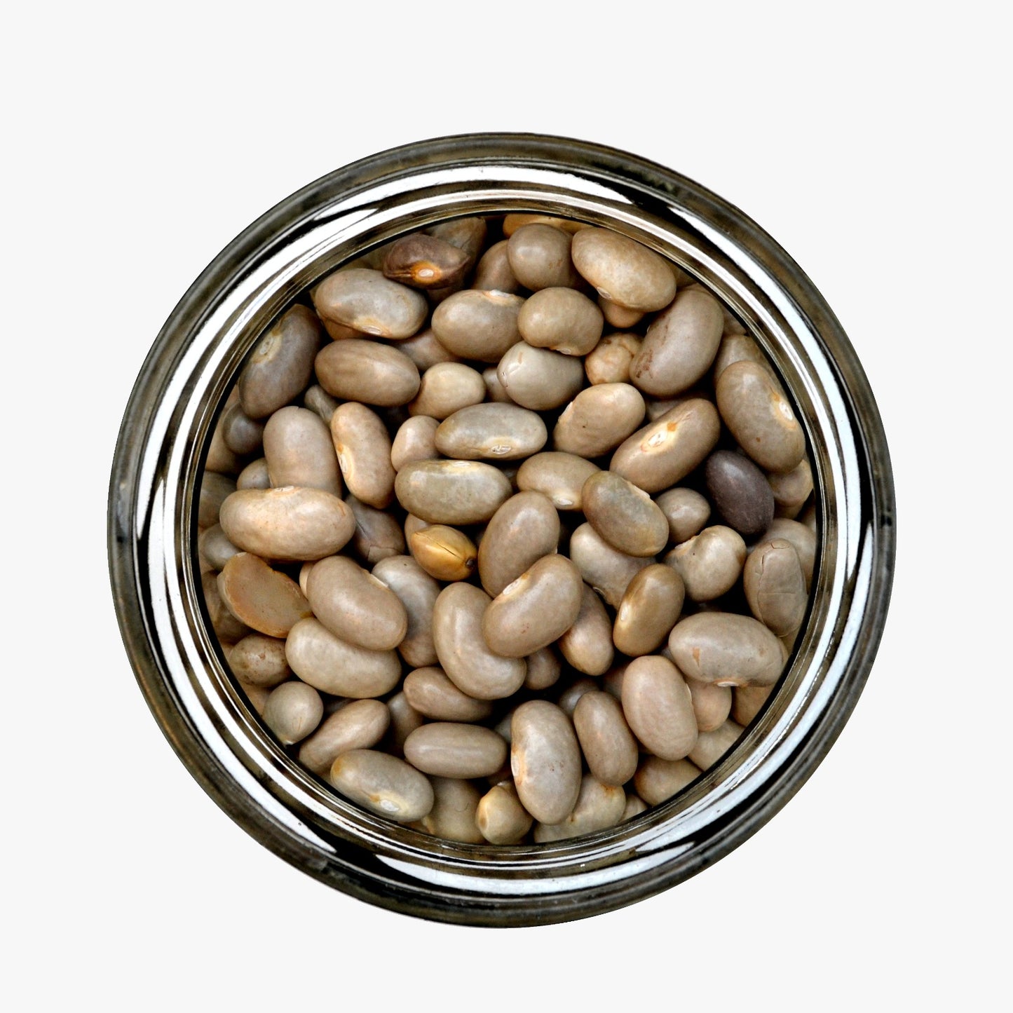 Porotos Burros