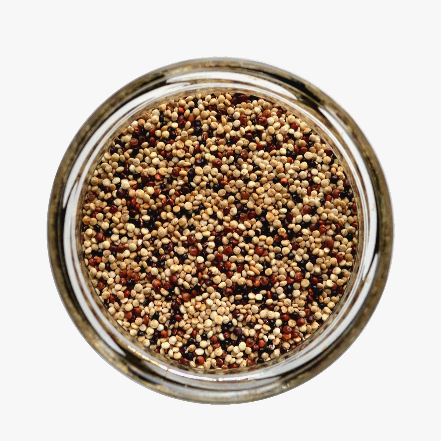 Quinoa Tricolor