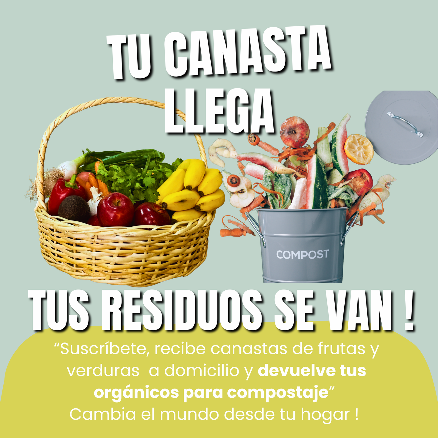 Canasta Frutas y Verduras / Verdulería Circular