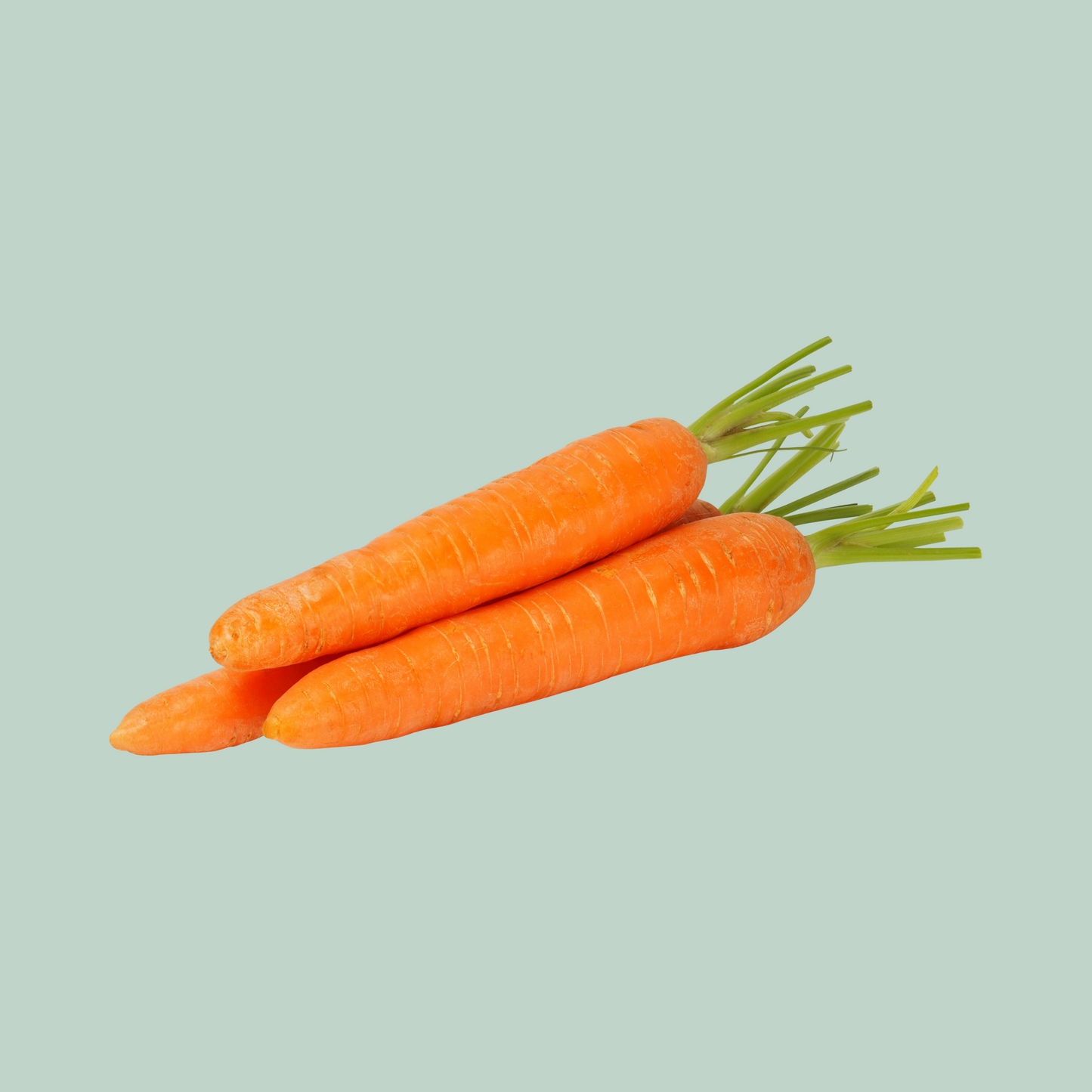 Zanahorias