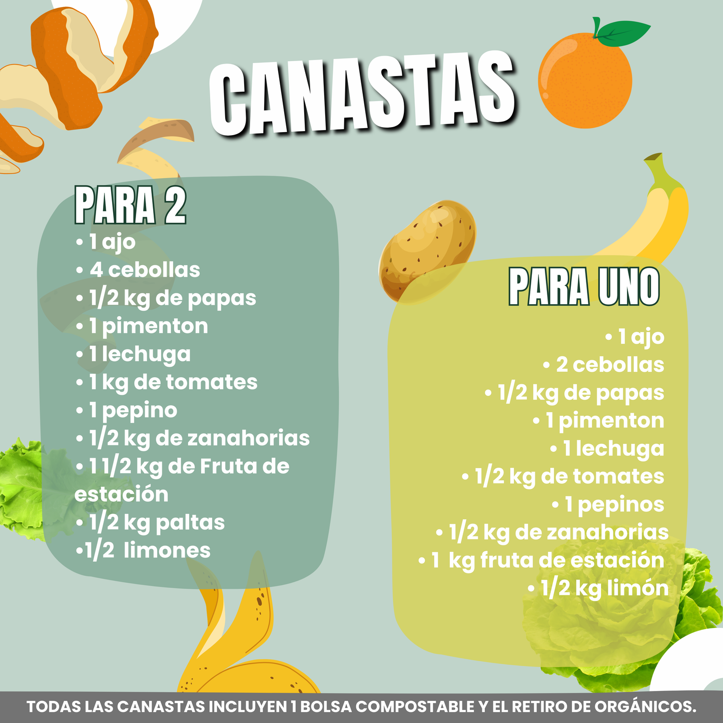 Canasta Frutas y Verduras / Verdulería Circular